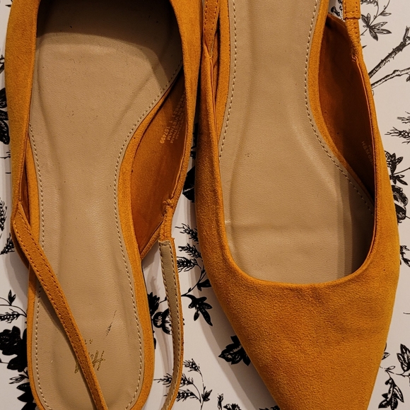 Slides - Picture 5 of 7